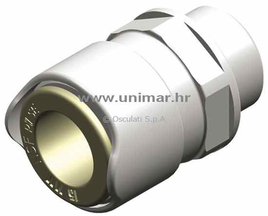 Adapter whale bsp 1/2 15mm