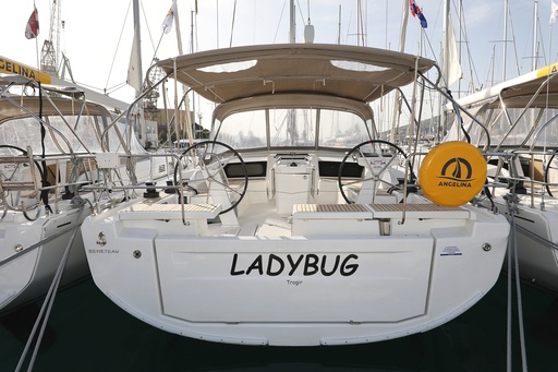 Ladybug